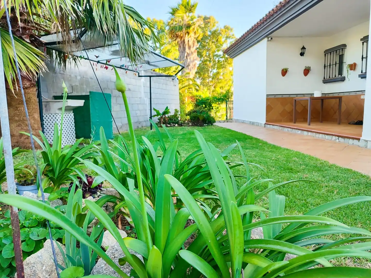 Jardí de Casa o xalet en venda en Algeciras