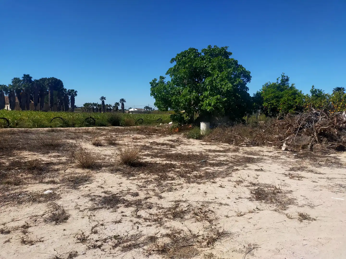 Terrain rustique à vendre à La Foia - Daimés - Asprella, imagen 9