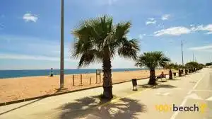 Locale commerciale in vendita a Malgrat de Mar, imagen 11