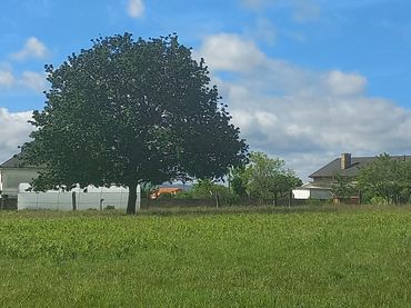 Wohnbaugrundstück zum Verkauf in Pombo