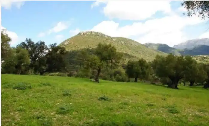 Casa rústica en venda a El Bosque, imagen 14