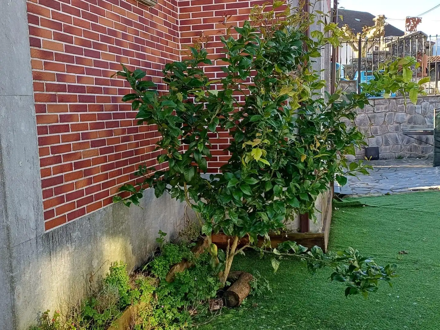 Xalet amb jardí en venda a DE LA COTERA, imagen 23