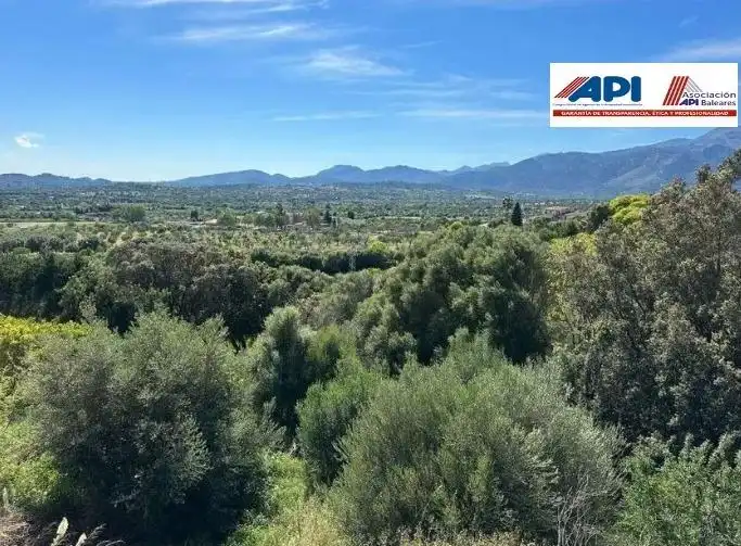 Terreny residencial en venda a Campanet