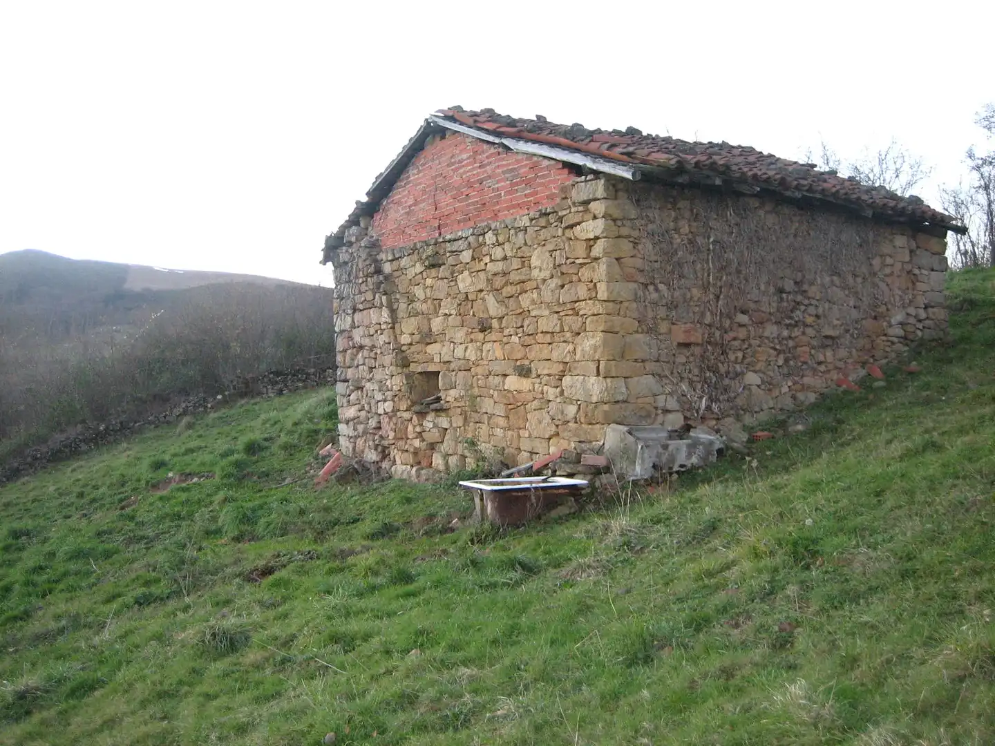 Terreny rústic en venda a Grado, imagen 10