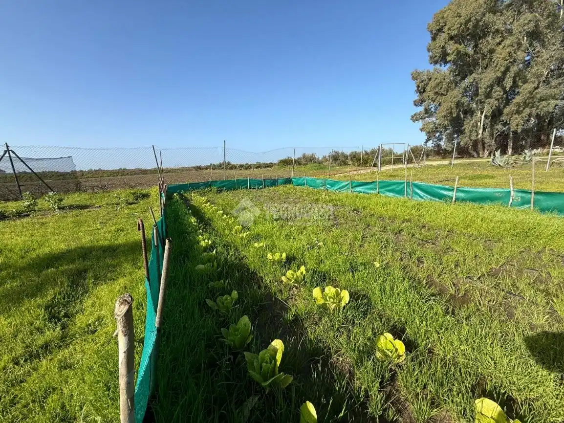 Terreno en venta en Arahal