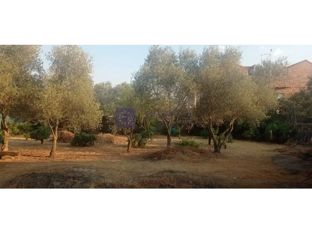 Finca rústica en venta en Malpartida de Cáceres