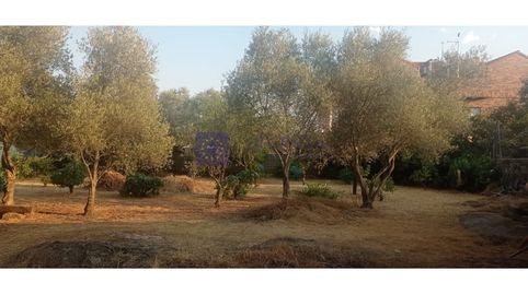 Foto 3 de Finca rústica en venta en Malpartida de Cáceres, Cáceres