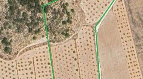 Terreno con gran potencial urbanizable a solo 10 minutos de Pinoso., immagine 2