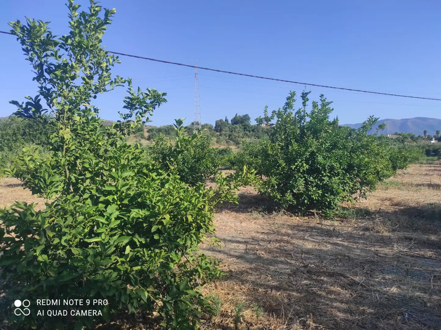 Terreno rustico in vendita a Villafranco del Guadalhorce, imagen 2