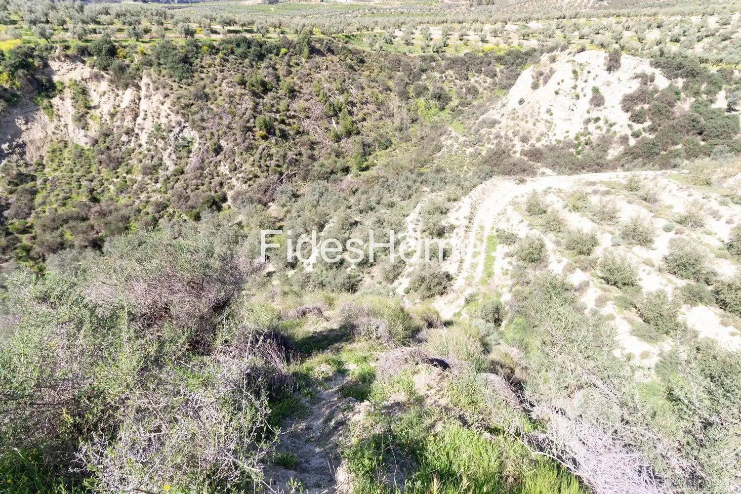Casa rustica in vendita a WCR3+9FX Saleres, 18658, El Valle, Granada, Españ 0, imagen 38