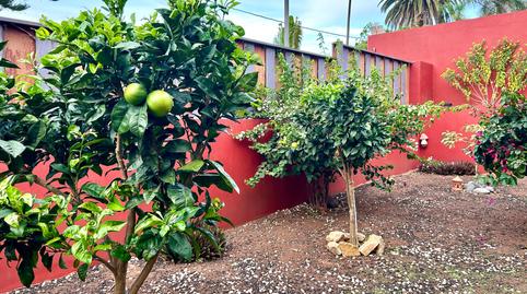 Photo 5 of House or chalet for sale in Tegueste, Santa Cruz de Tenerife