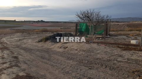 Terreno agrario en venta en Cieza, immagine 2