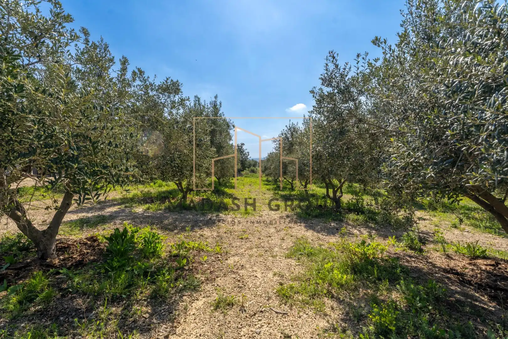 Finca rústica en venta en Reus con Aire acondicionado, Jardín privado y Trastero