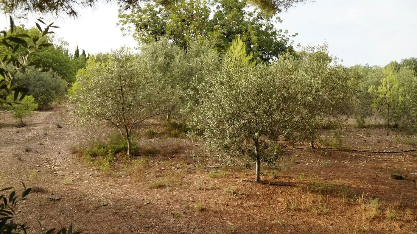 Finca rústica en venda en Valls amb Calefacció, Jardí privat i Terrassa