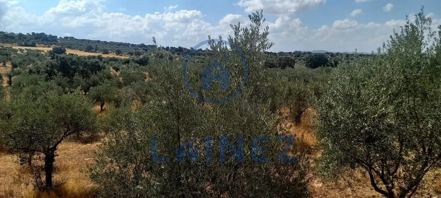 Wohnbaugrundstück zum Verkauf in La Granjuela, imagen 14