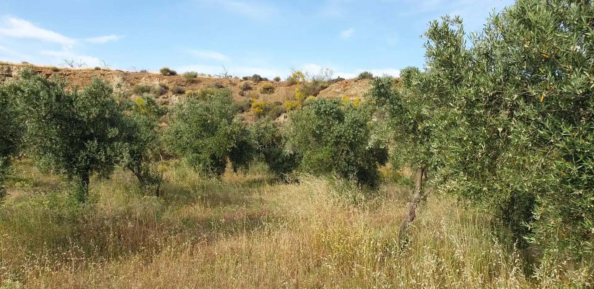 Finca rústica en venda en Guadix
