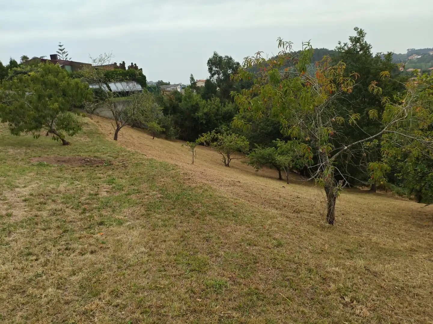Houses for sale in Castrillón