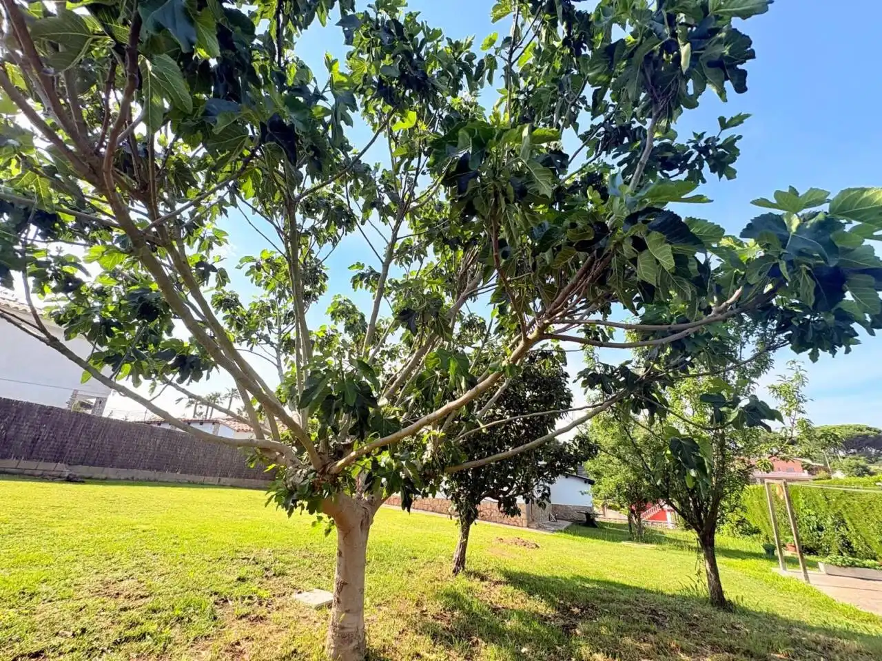 Garden of Houses for sale in Caldes de Malavella  with Air Conditioner, Heating and Private garden