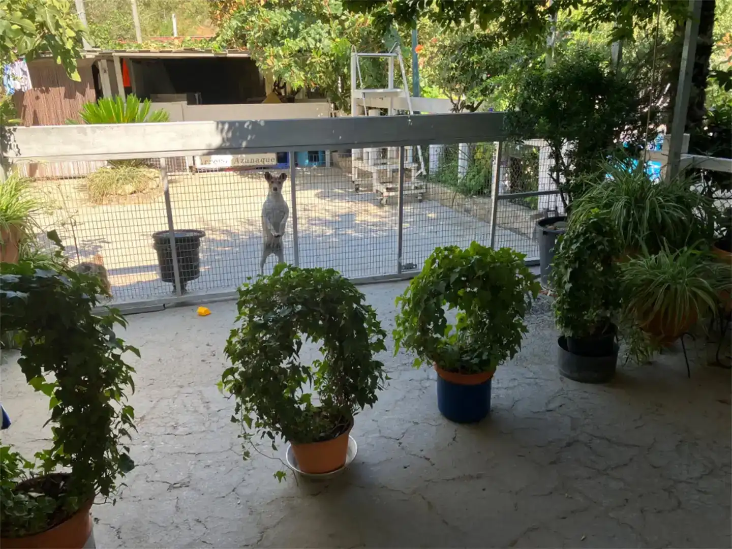 Jardí de Casa o xalet en venda en Constantina amb Aire condicionat, Jardí privat i Traster