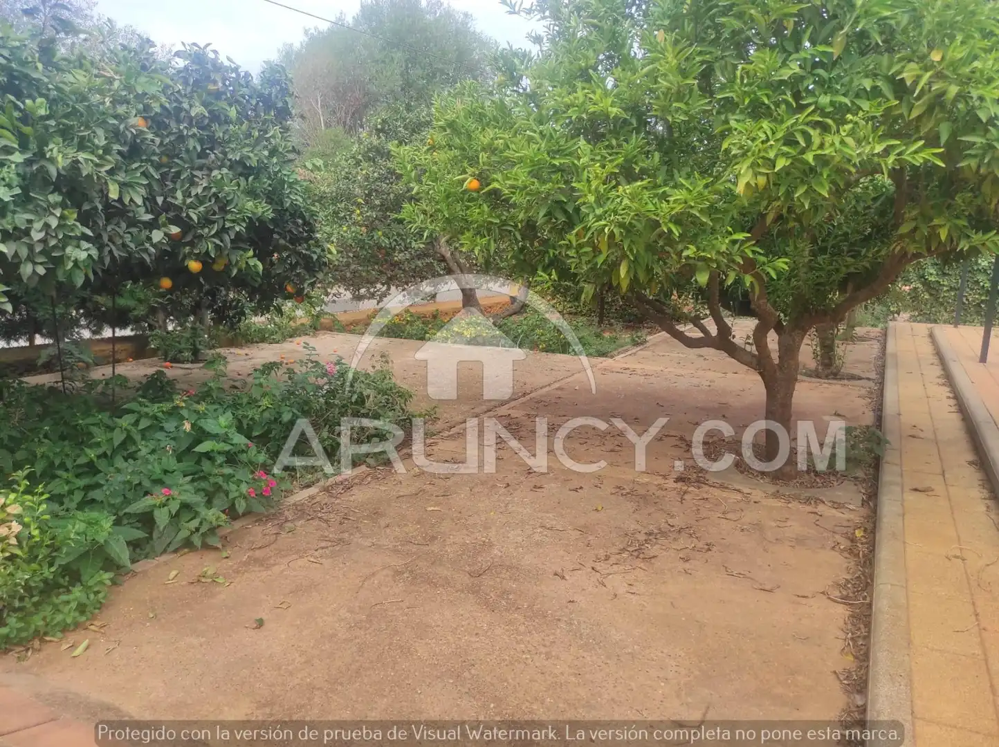 Chalet con piscina en venta en Mairena del Alcor, imagen 13