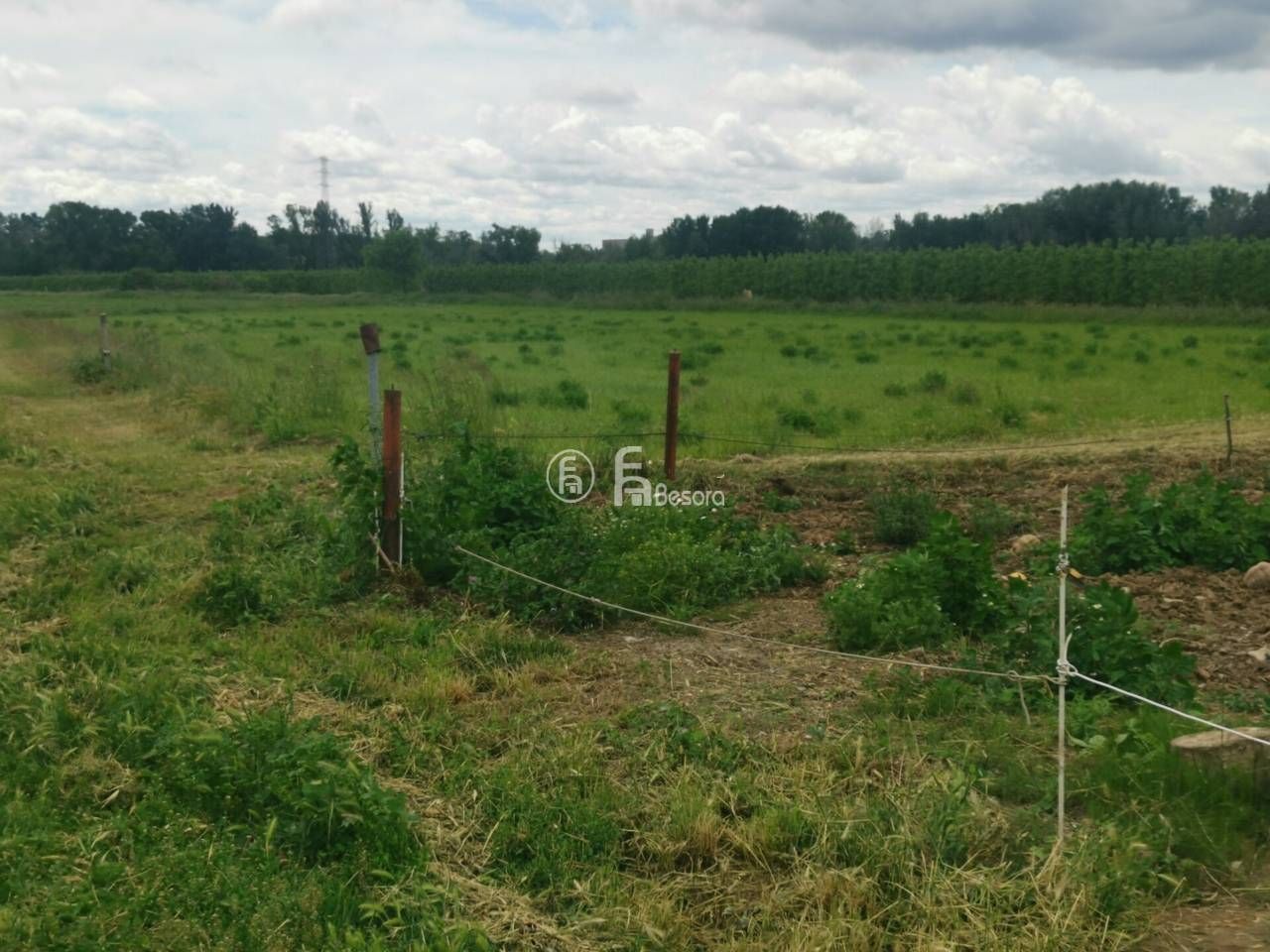 Terreno en venta en  Lleida Capital