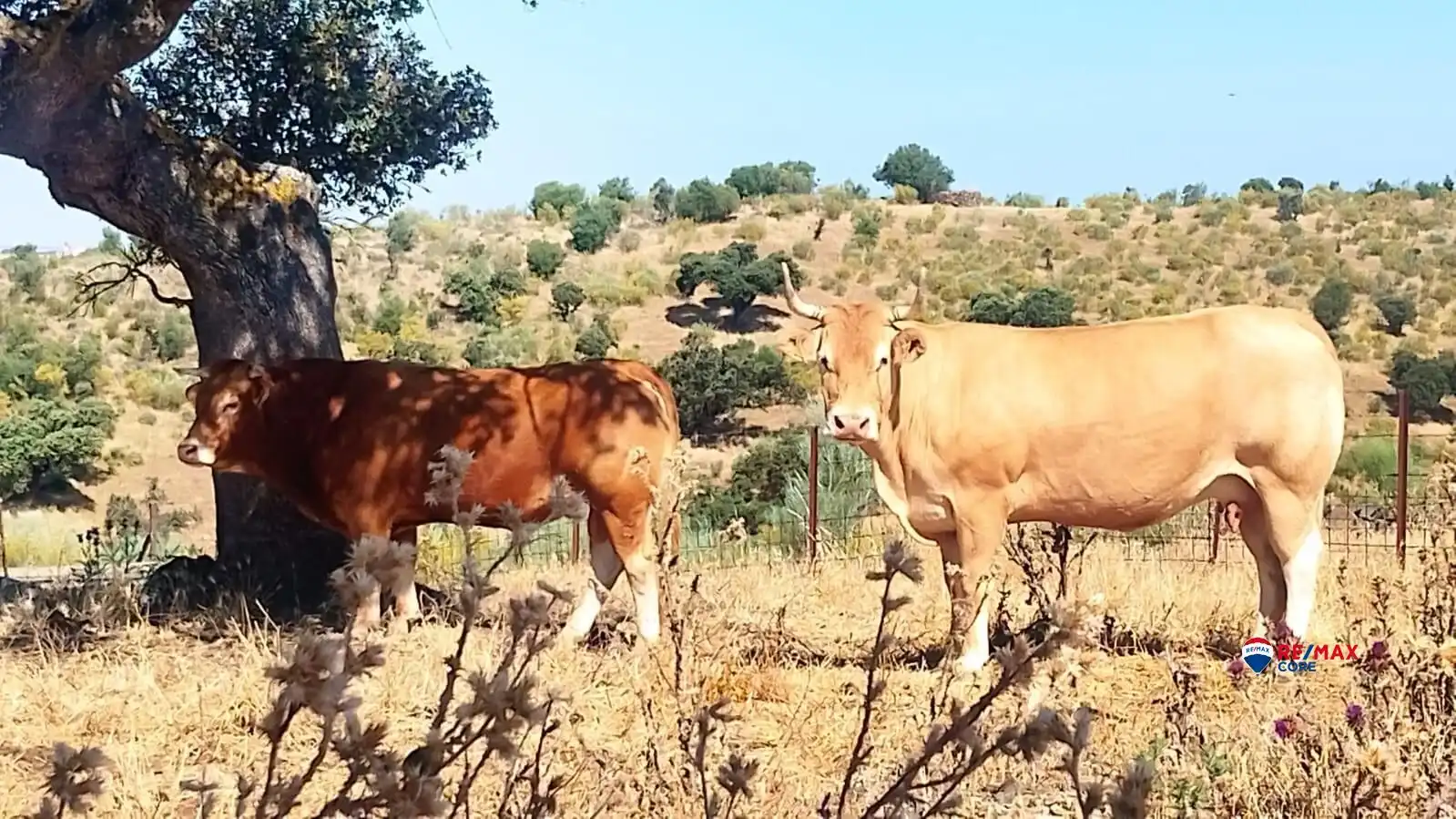 Außenansicht von Grundstücke zum Verkauf in Villanueva del Fresno