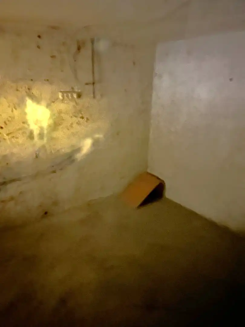 Gewerbefläche zur Miete in Calle Sierra del Espartal, imagen 12