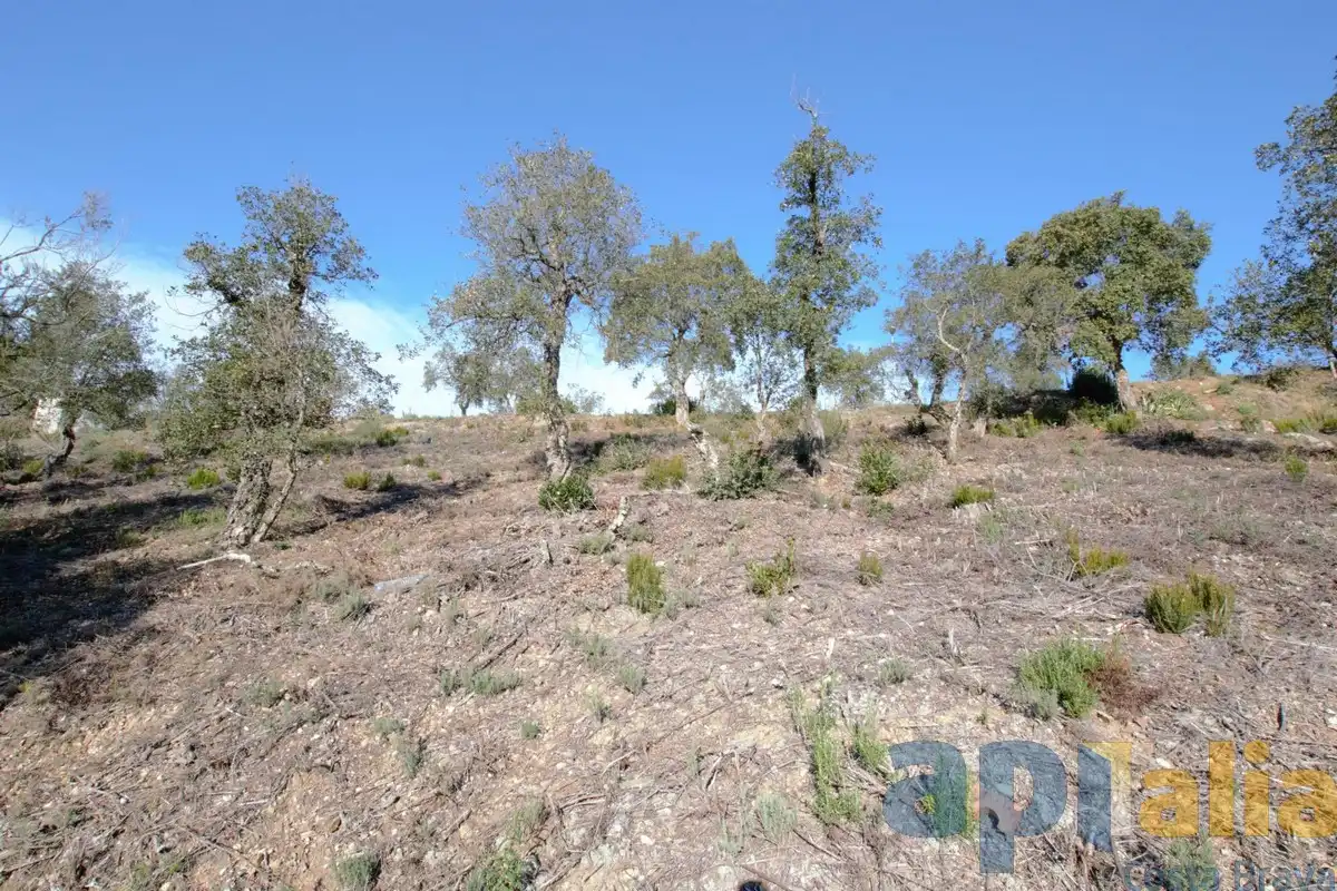 Terreny residencial en venda a Carrer Avet, imagen 2