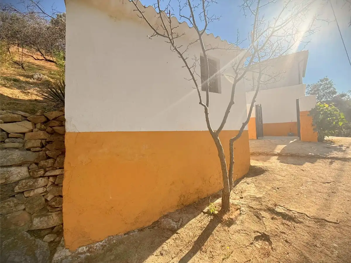 Vista exterior de Finca rústica en venta en Villanueva de Algaidas con Jardín privado y Trastero