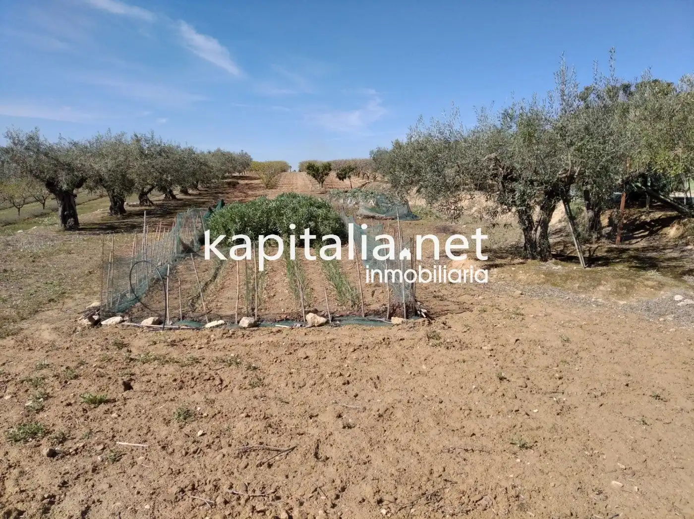 Casa o chalet en venta en Agullent