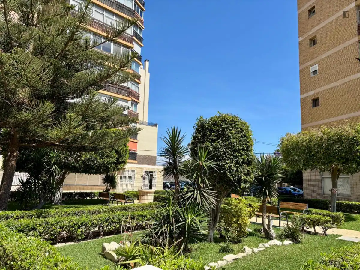 Apartments for rent in PAU 5