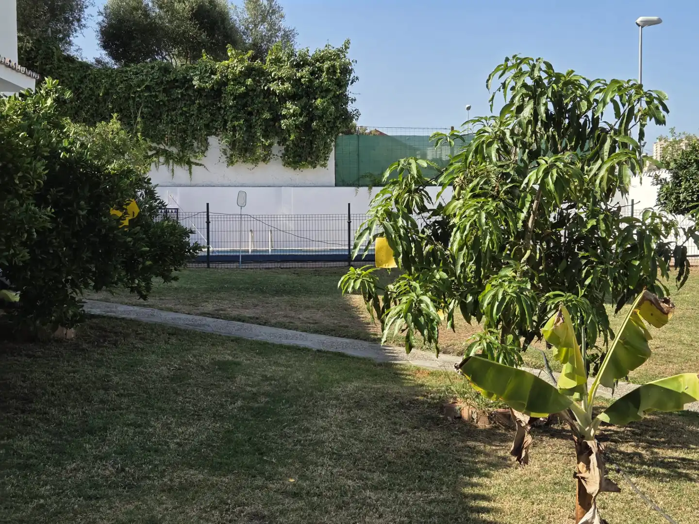 Garden of Houses for sale in Algeciras  with Swimming Pool and Furnished