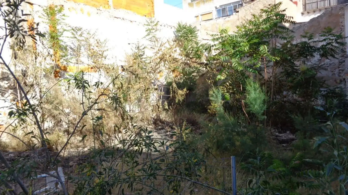 Terrains et parcelles à vendre à Centro, imagen 7