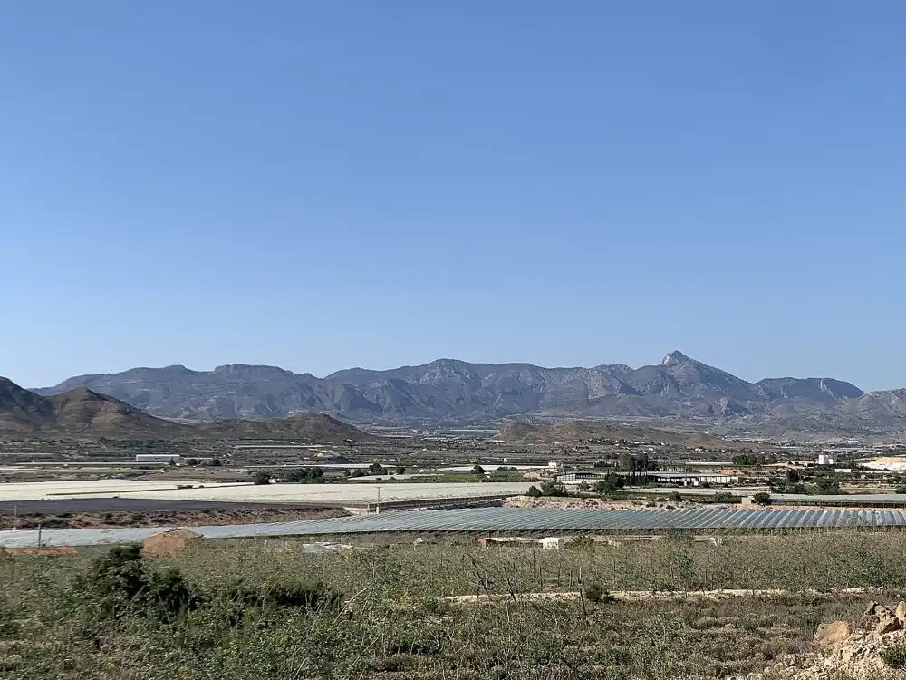 Terreno residencial en venta en Monforte del Cid, imagen 7