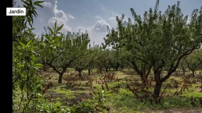 Casa o xalet en venda en Fuente Álamo de Murcia amb Jardí privat i Traster