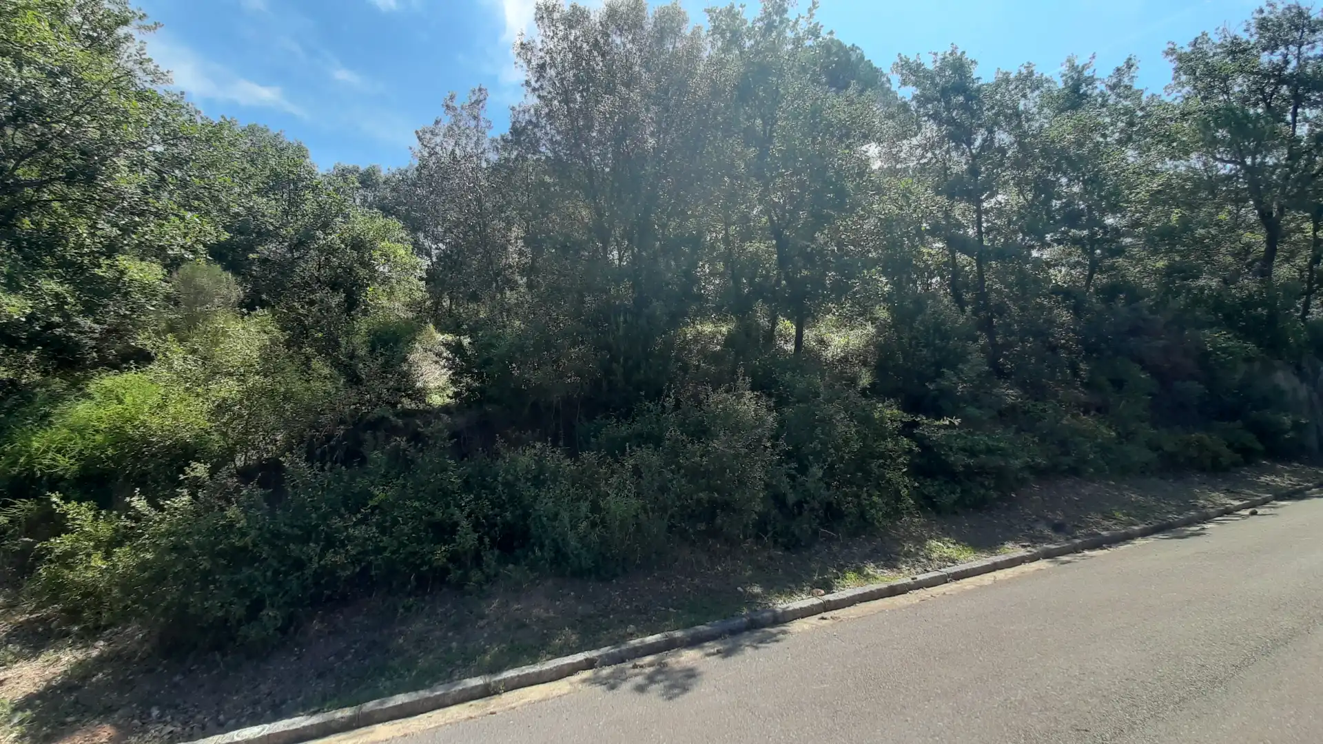 Residential land for sale in Carrer Pla de la Calma, imagen 9