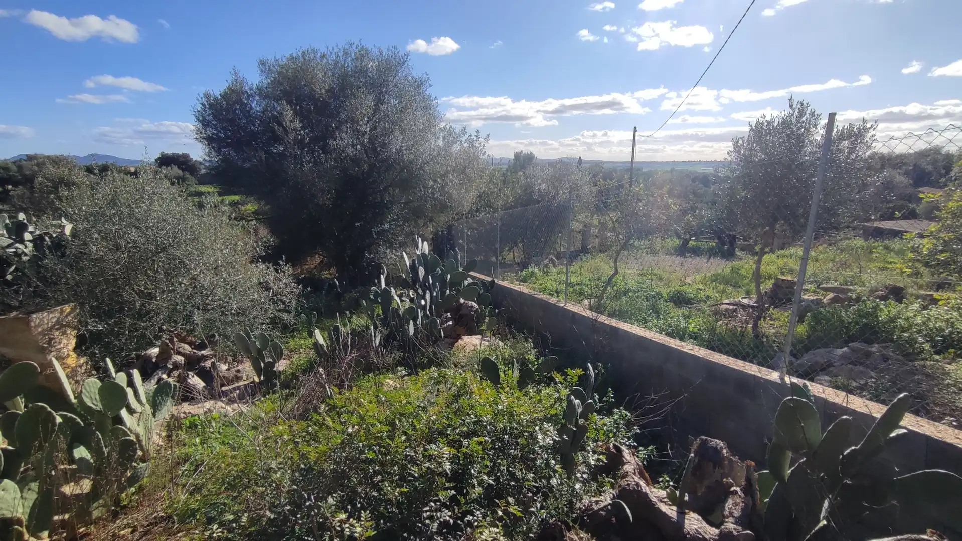 Rural land for sale in Vial Camino 316, imagen 14