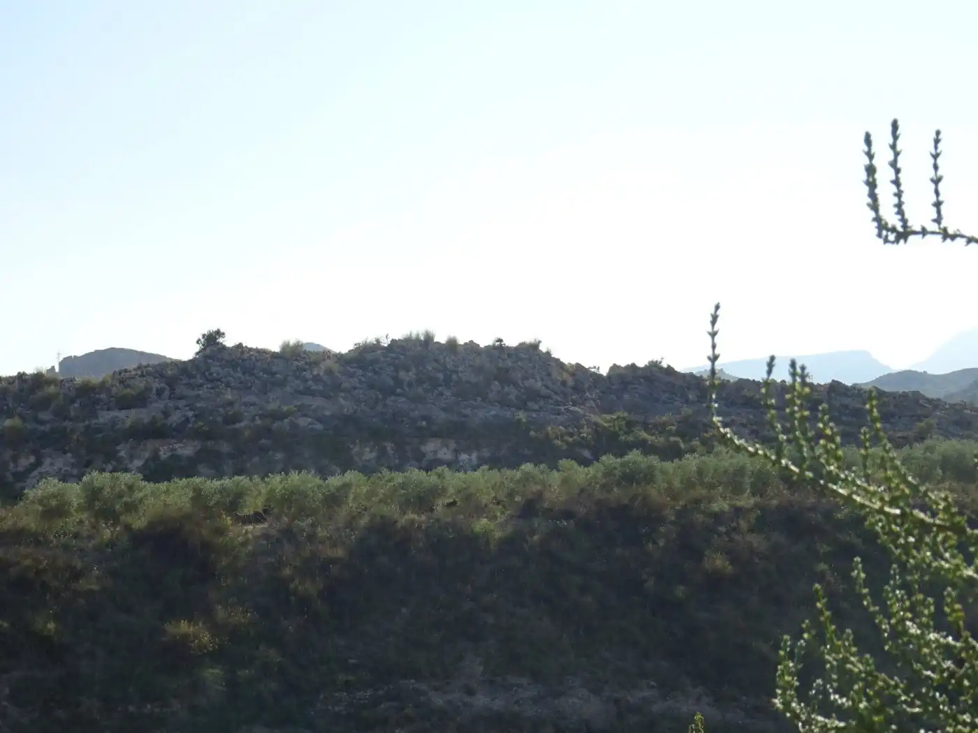 Casa o xalet en venda a Pedanías Este