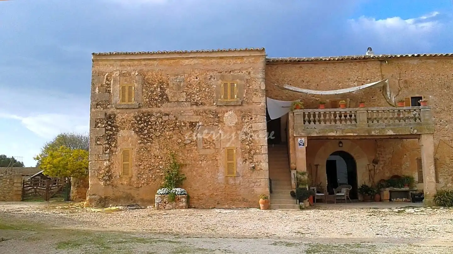 Maison rustique à vendre à lloret de vista alegre, imagen 6