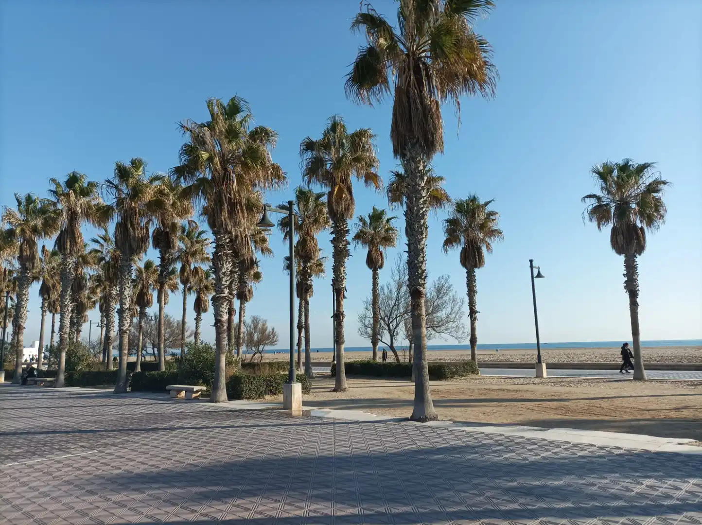 Vista exterior de Residencial en venta en Valencia