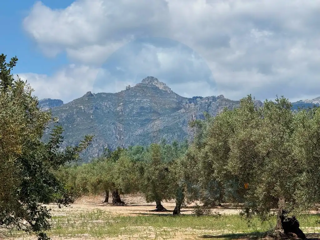 Finca rústica en venda en Mas de Barberans