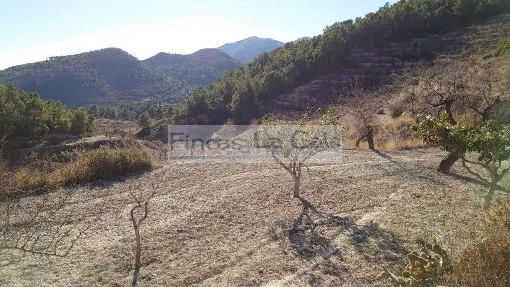 Country house for sale in Relleu, imagen 29
