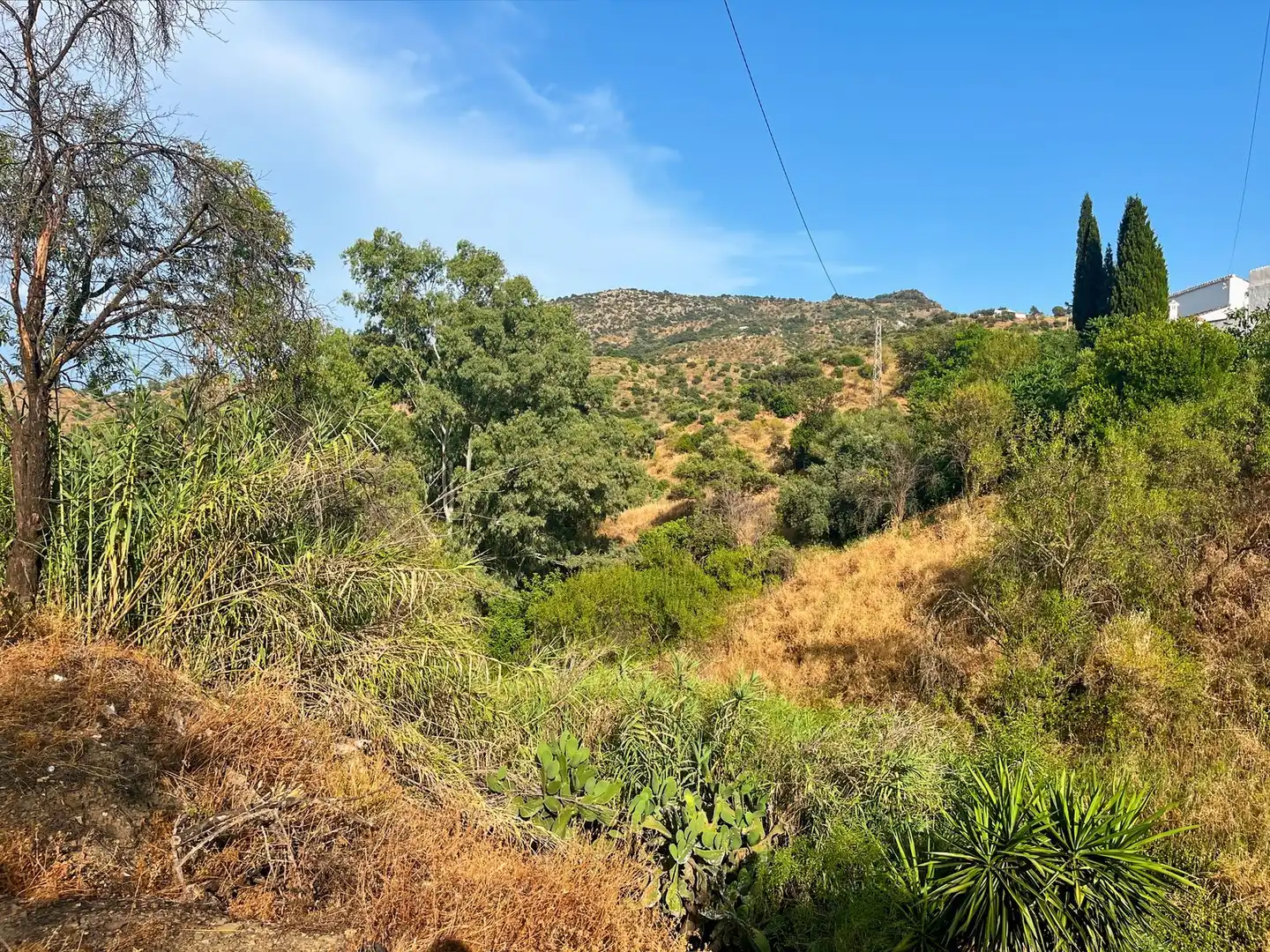 Country homes for sale in Comares