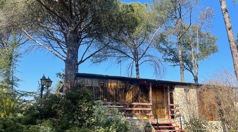 Casita en medio de un Bosque