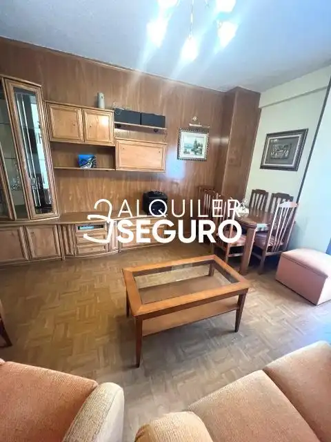 Sala d'estar de Pis de lloguer en Madrid amb Calefacció i Moblat