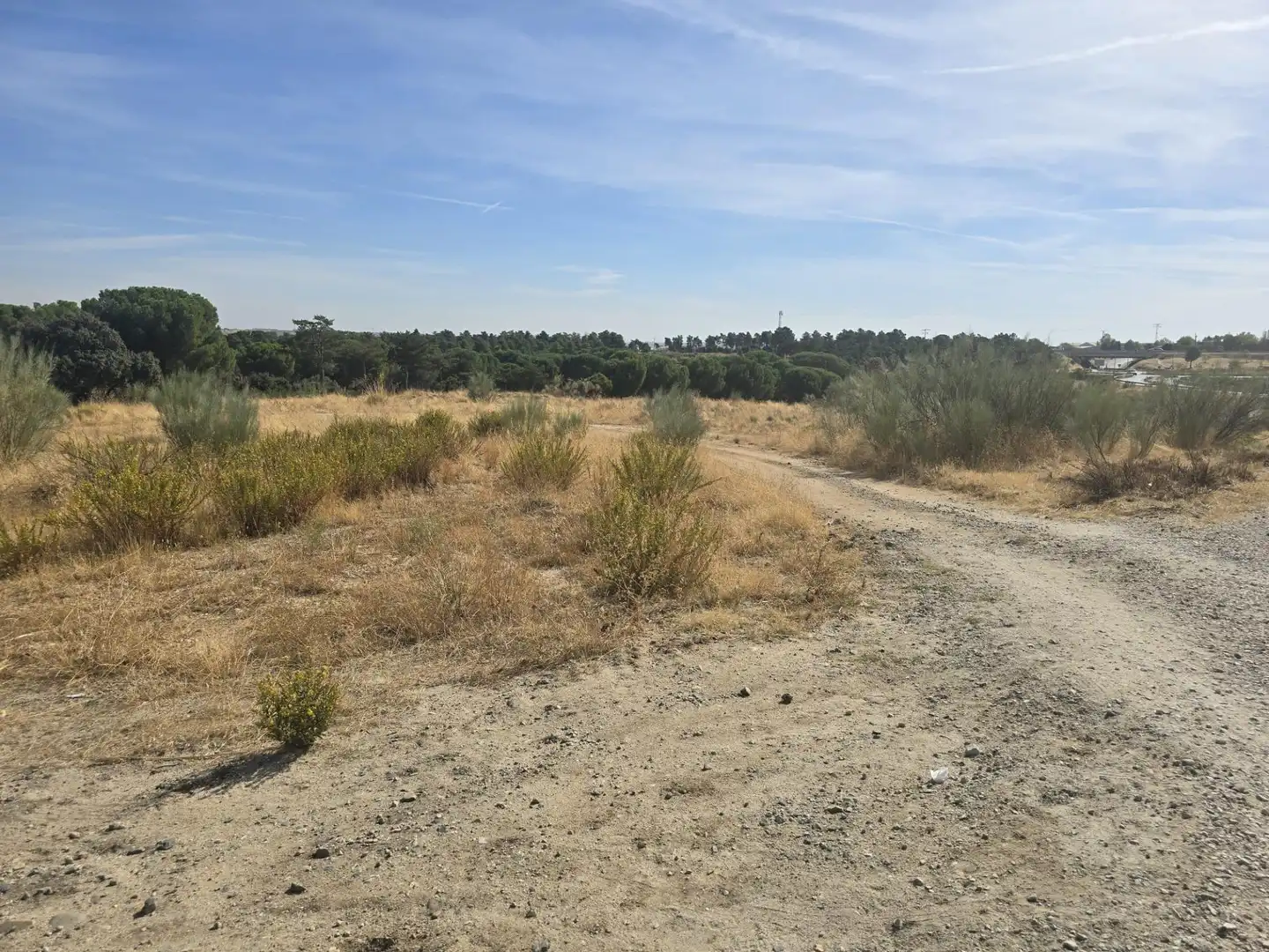 Terreny residencial en venda a La Dehesa - El Pinar, imagen 20