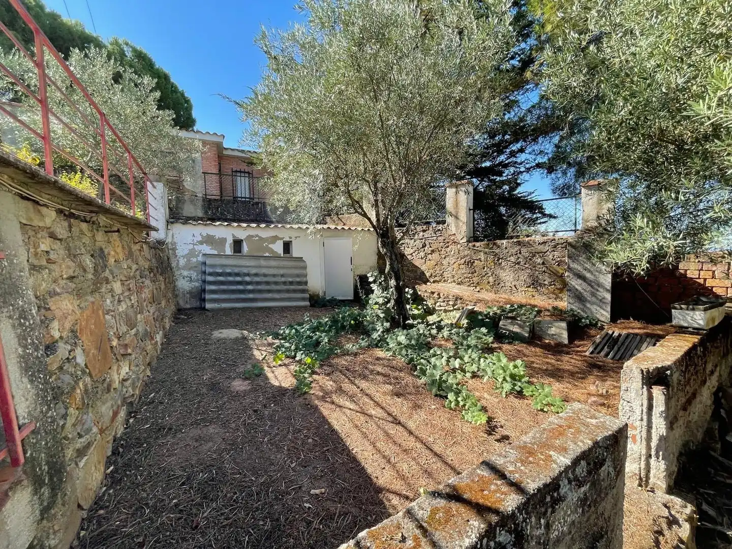 Jardín de Casa o chalet en venta en Cáceres con Terraza, Trastero y Piscina