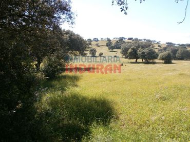 Casa rústica en venda a Millanes