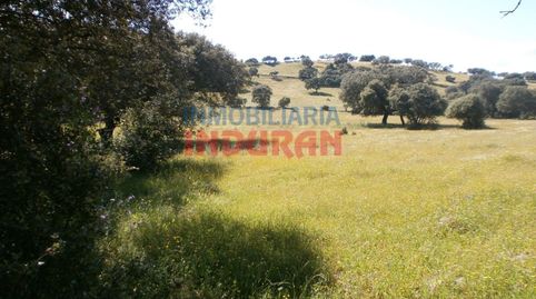 Finca rústica junto a la urbanización La Narota Millanes, Cáceres
