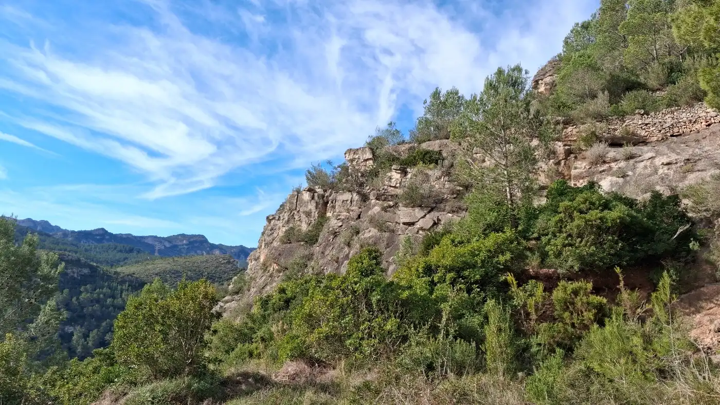 Vista exterior de Terreno en venta en Pratdip